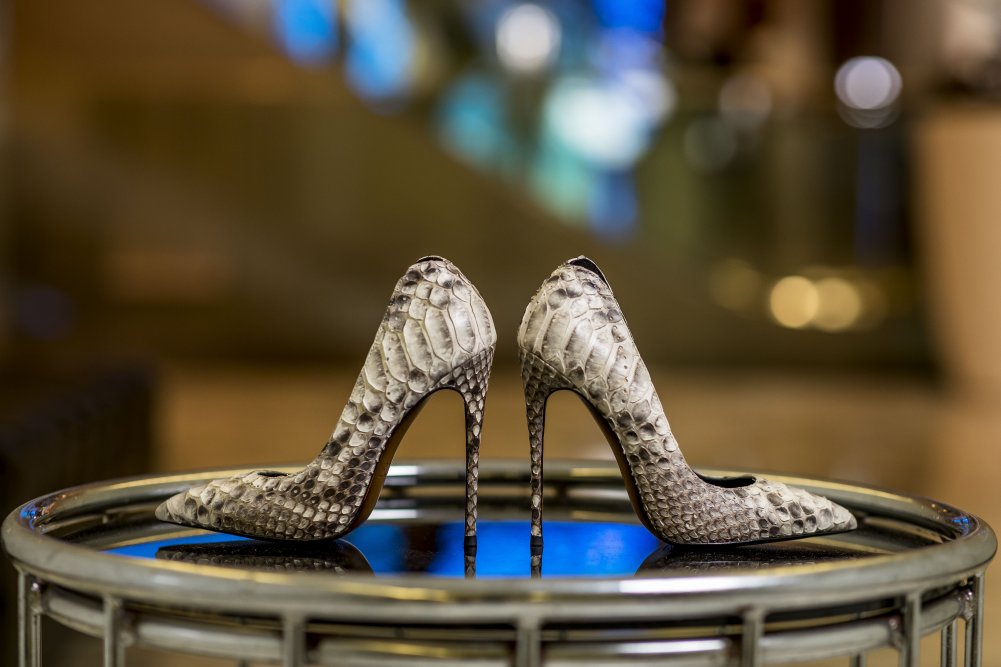 Shop Diana Ferarri shoes online for womens heels.